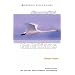 Discovering Galatians: Be Free in Christ (Crossway Bible Guides)