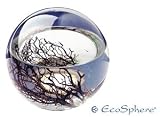 EcoSphere Mega Kugel - Miniaquarium aus der NASA Weltraumforschung - 23 cm Durchmesser und min. 40 Garnelen