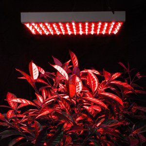 Hight Grade 225 High Power Red Plant Grass Herb Flower Growing Grow LED Light Lamp Panel