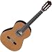 Espana CSR Nylon String Acoustic Guitar