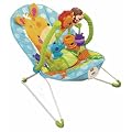Fisher-Price Precious Planet Playtime Bouncer