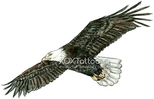 Eagle Set of 4 Temporary Tattoos (Waterproof Lasts 3 to 4 days)