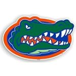 Florida Gators 12 inch Car Magnet