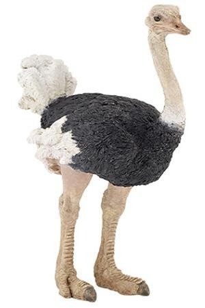 Papo: Ostrich