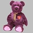 Ty Beanie Buddy 2000 Signature Bear the Bear Retired