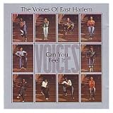 Can You Feel It? [VINYL]