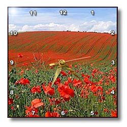 Poppies - 10x10 Wall Clock