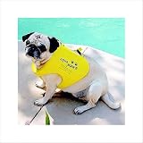 Aqua Paws Dog Life Jacket Medium 15-19 In