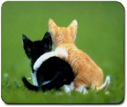 Adorable Kittens, Friends Forever Mouse Pad