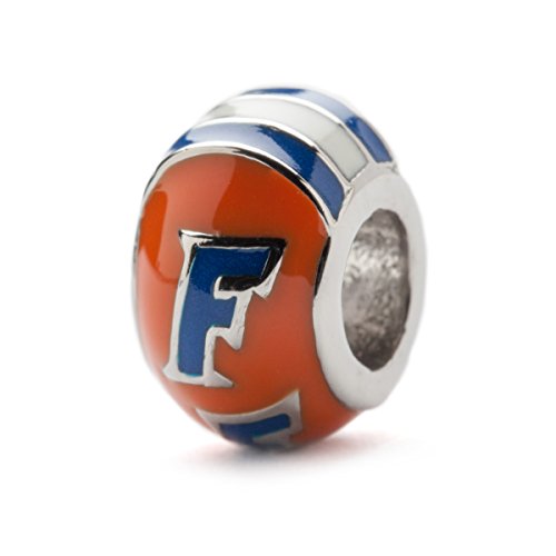 Orange Florida Gators Round Bead Charm - Handpainted Stainless Steel - Fits Pandora Charm Bracelets