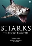 Sharks: The Perfect Predator