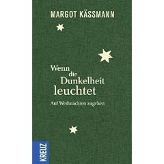 Wenn die Dunkelheit leuchtet: Auf Weihnachten zugehen
