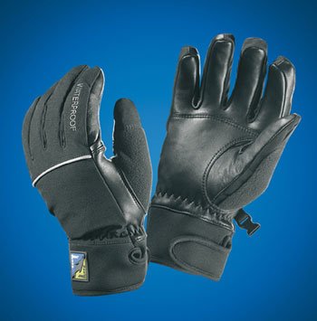 Sealskinz Activity Waterproof Glove, Black – Large