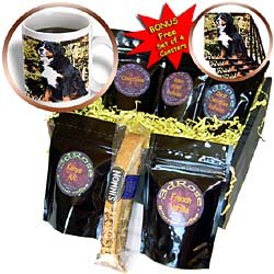 Dogs Bernese Mountain Dog - Bernese Mountain Dog - Coffee Gift Baskets - Coffee Gift... by 3dRose LLC