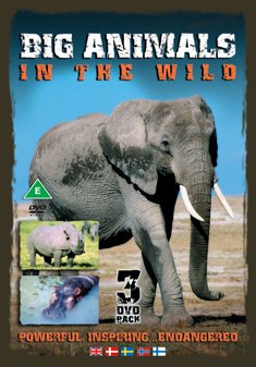 BIG ANIMALS IN THE WILD SET