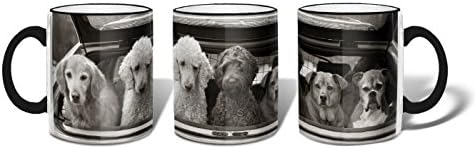 Retrospect Mug Gift Boxed - Five Dogs - in gift box.