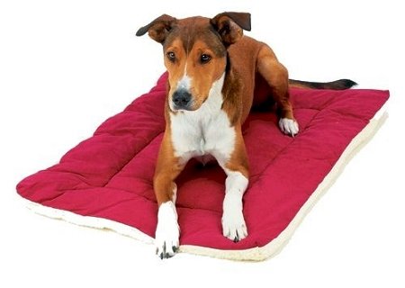 Classic Sleep Ezz Dog - Medium/Burgundy