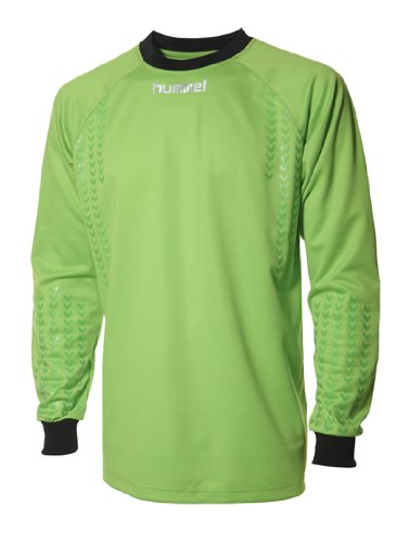 hummel Herren Torwart Trikot Classic, jasmine green, L, 04-227-6286_6286 Preisvergleich