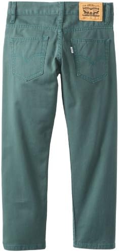 Levi's Big Boys' 508 Loose Taper Fit, Waterlog, 20