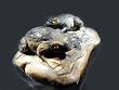 "The Toads", Sculpture in Butter Jade