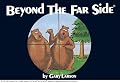 Beyond The Far Side ?