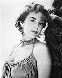 DAWN ADDAMS 24x36 B&W POSTER PRINT