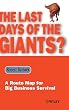 The Last Days of the Giants?: A Route Map for Big Business Survival