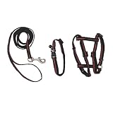 Eigenschaften Maxi-Pet  / Set aus Halsband, Geschirr und Leine f. Katzen, reflektierend