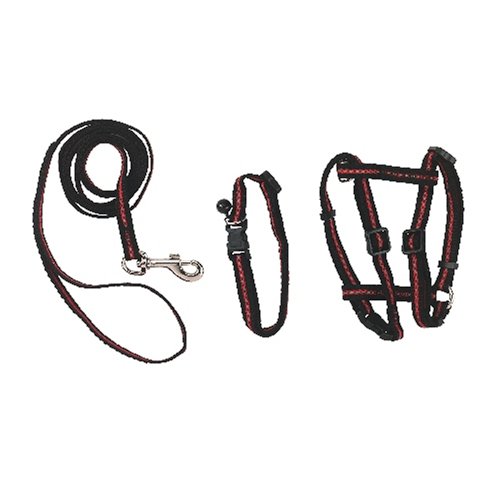 Set aus Halsband, Geschirr und Leine f. Katzen, reflektierend