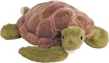 Shea turtle