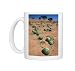 Photo Mugs of ASW-4390 Tsamma melons littering the dune surface after successful fruiting from Ardea Wildlife Pets