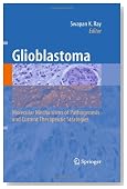 Glioblastoma:: Molecular Mechanisms of Pathogenesis and Current Therapeutic Strategies