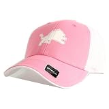 Detroit Lions NFL Women's Pink & White Mesh Back Trucker Hat