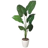 くわず芋【人工観葉植物】 GREENシリーズ 光触媒 (GG84502-100)