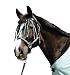 Eurohorseline 321115 Halfterset Wave Gr. 3 schwarz / t�rkis