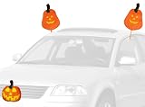 Mystic Industries Pumpkin Halloween Vehicle Costume
