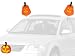 Mystic Industries Pumpkin Halloween Vehicle Costume