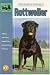 The Guide to Owning a Rottweiler (Re Dog Series)