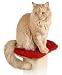 Post Perch with Pad for Ultimate Scratching Post