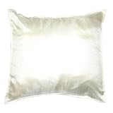 Suite 109 Velvet European Sham
