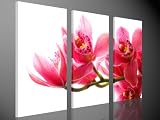 Leinwandbild ORCHIDEE Kunstdruck als Wandbild, by Tom Harris, Bilder auf Brillantem Giclee-Leinwanddruck inkl. Keilrahmen. Vergleichbar mit einem Ölbild oder Gemälde - kein Poster- oder Plakatdruck 130x80cm #e2026