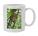 Philippine Tarsier - Photo Mug by Ardea