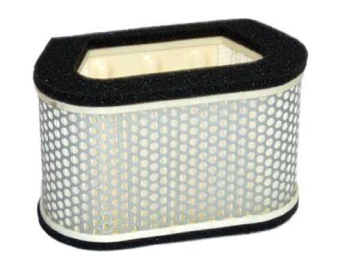 Hiflofiltro HFA4907 Premium OE Replacement Air Filter