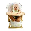 Ladybug Lullabye High Chair Pad
