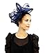 Greatlookz Women's Smashing Young Lass Fascinator Cocktail Hat