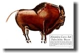 Altamira Bison - Cave Paintings - Social Studies Classroom Poster