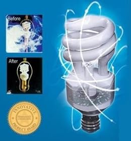 Ionic 15 Watt Ionic Bulb Air Freshening CFL Light Bulb by Viatek