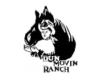 Dr. MIKE’S HORSEMANSHIP GROUND STEPS TO SUCCESS