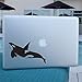 Killer Whale Decal, Orca Whale Vinyl, for car, Window, Laptop Black
