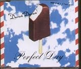 Artwork for Perfect Day